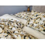 Бавовняна постіль cotton 5D Ведмедик із Трояндою в Leron - фото 5